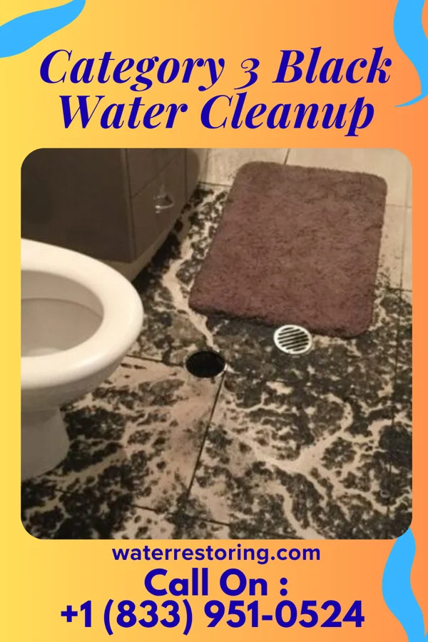 Category 3 Black Water Cleanup in Echelon, NJ