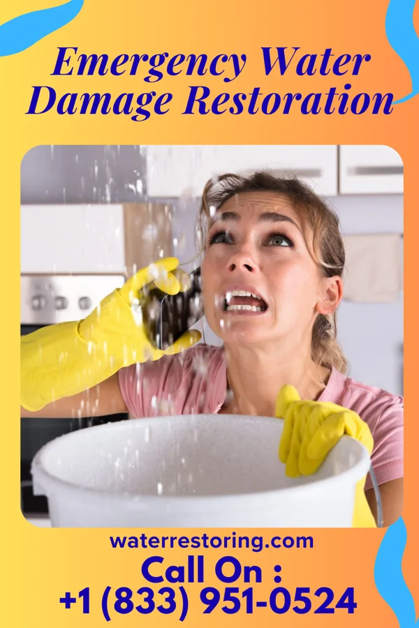 Emergency Water Damage Restoration in Echelon, NJ