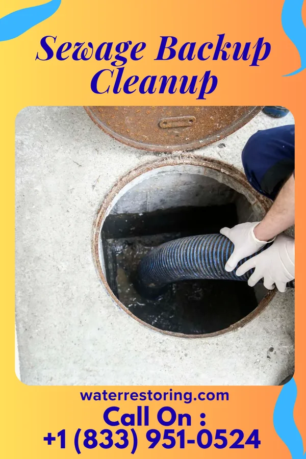 Sewage Backup Cleanup in Echelon, NJ