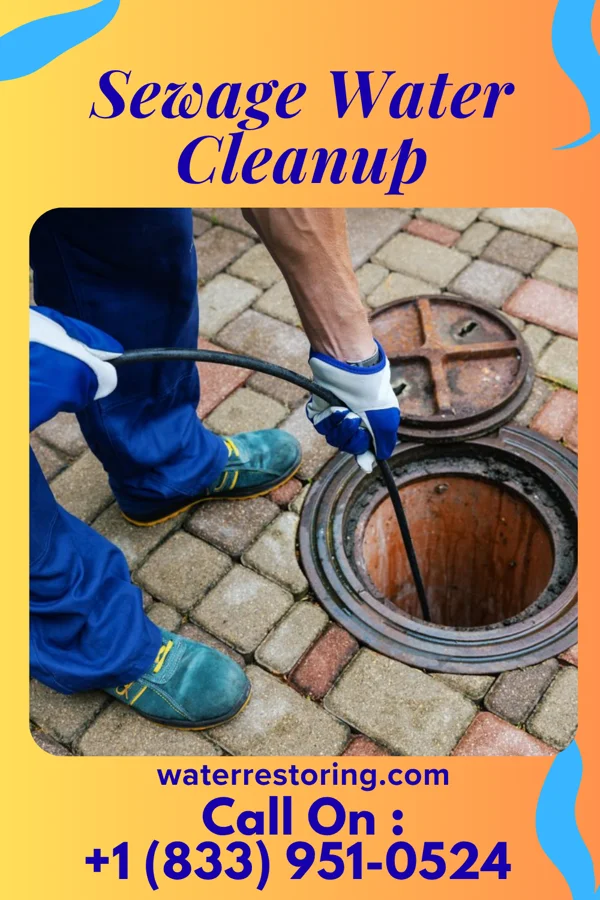 Sewage Water Cleanup in Echelon, NJ